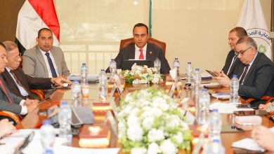هيئة الرعاية الصحية تستعد لإطلاق المرحلة الثانية من التأمين الصحي الشامل