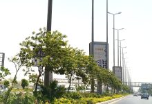 جهاز 6 أكتوبر يواصل أعمال تطوير المسطحات الخضراء ضمن خطة شاملة لتحسين الرؤية البصرية والبيئة العمرانية