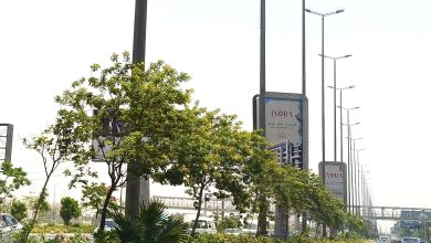 جهاز 6 أكتوبر يواصل أعمال تطوير المسطحات الخضراء ضمن خطة شاملة لتحسين الرؤية البصرية والبيئة العمرانية