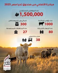 صندوق تحيا مصر