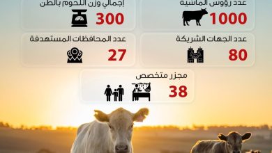 بالإنفوجراف.. صندوق تحيا مصر في بيت كل أسرة أولى بالرعاية في عيد الأضحى المبارك