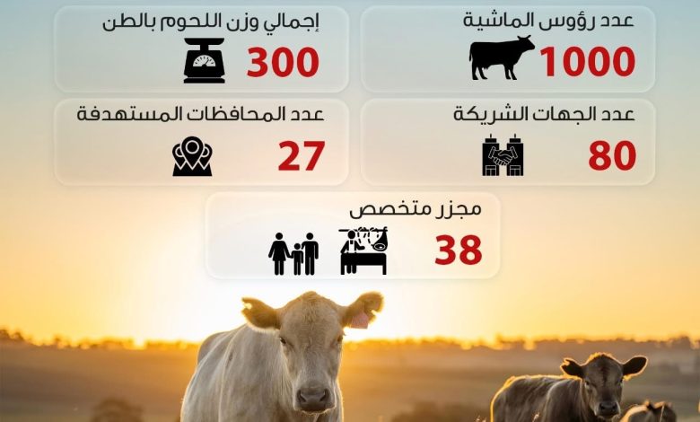 بالإنفوجراف.. صندوق تحيا مصر في بيت كل أسرة أولى بالرعاية في عيد الأضحى المبارك بالإنفوجراف.. صندوق تحيا مصر في بيت كل أسرة أولى بالرعاية في عيد الأضحى المبارك
