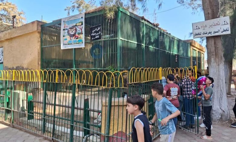 38 ألف زائر خلال يومين.. حدائق الحيوان الإقليمية وحديقة الأسماك تستقبل المواطنين بأجواء احتفالية 38 ألف زائر خلال يومين.. حدائق الحيوان الإقليمية وحديقة الأسماك تستقبل المواطنين بأجواء احتفالية