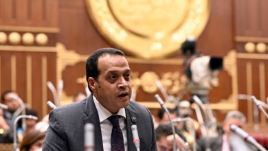 خالد أبو الوفا: لجنة الأزمات برئاسة رئيس الوزراء تعكس جاهزية الدولة لمواجهة التحديات العالمية وتأمين استقرار الأسواق