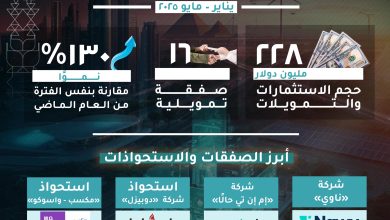 الشركات الناشئة في مصر تستقطب 228 مليون دولار تمويلات خلال 2025