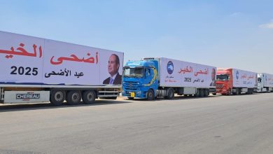 بالصور.. «مستقبل وطن» يطلق «أضحى الخير» بمحافظة الجيزة