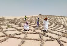 الفاو تجدد التزامها بدعم استعادة الأراضي وتعزيز القدرة على الصمود