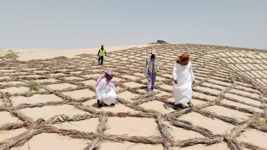 الفاو تجدد التزامها بدعم استعادة الأراضي وتعزيز القدرة على الصمود
