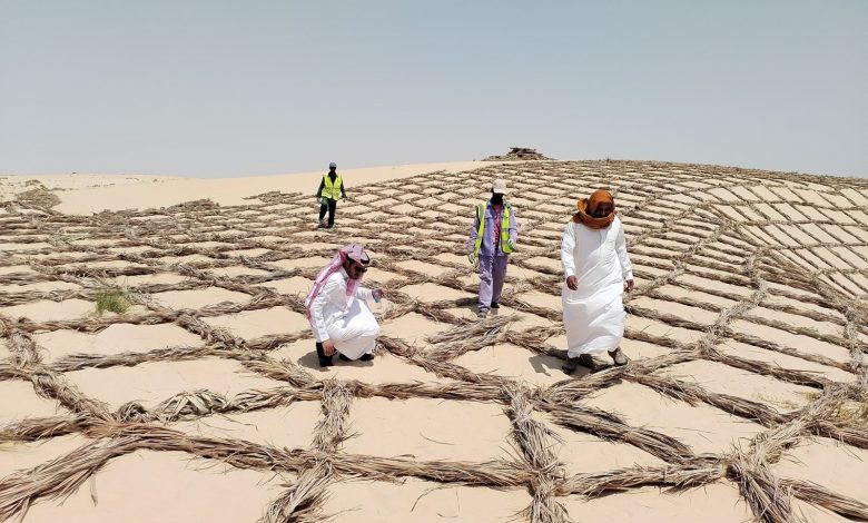 الفاو تجدد التزامها بدعم استعادة الأراضي وتعزيز القدرة على الصمود