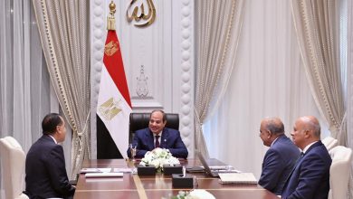  السيسي يتابع تنفيذ خطط تطوير قطاع الكهرباء والطاقة المتجددة ويوجه بتكثيف الاستثمارات وتوطين الصناعة
