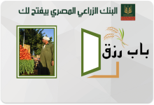 «باب رزق».. البنك الزراعي المصري يتيح قرضًا لأصحاب المشروعات الصغيرة بقيمة 10 آلاف جنيه