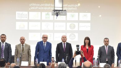 مصر ضمن كبار مُصدّري الزيتون عالميًا بطاقة إنتاجية مليون طن سنويًا