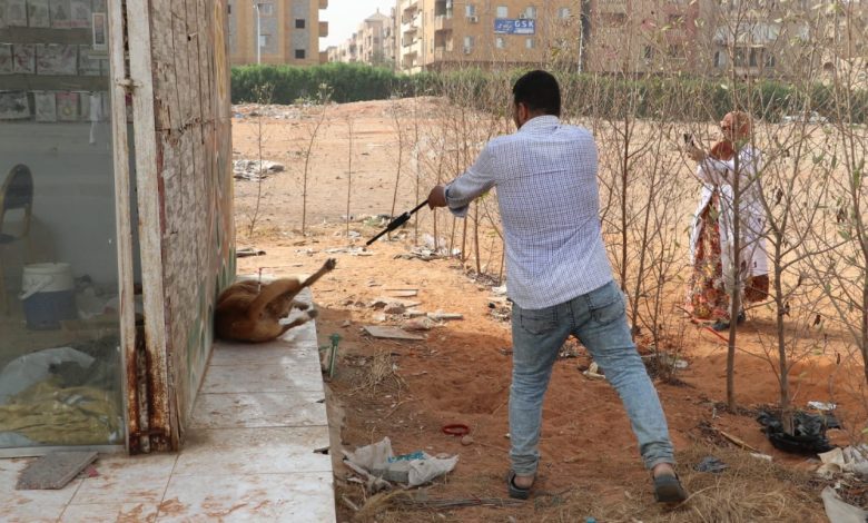 انطلاق حملة لتطعيم الكلاب ضد السعار بمدينة 6 أكتوبر انطلاق حملة لتطعيم الكلاب ضد السعار بمدينة 6 أكتوبر