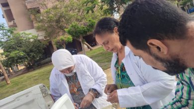 6 أكتوبر تطلق حملة لتطعيم الكلاب ضد السعار: تعاون ثلاثي لحماية المواطنين وتعزيز الصحة العامة
