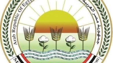  الزراعة: الاتحاد الأوروبي يوافق على تيسير إجراءات تصدير البطاطس المصرية