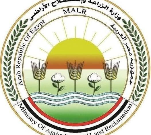 الزراعة: الاتحاد الأوروبي يوافق على تيسير إجراءات تصدير البطاطس المصرية الزراعة: الاتحاد الأوروبي يوافق على تيسير إجراءات تصدير البطاطس المصرية