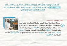 بلغت 200 ألف طن..  البطاطس والفراولة تتصدران قائمة صادرات المواد الغذائية في أسبوع