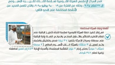 بلغت 200 ألف طن..  البطاطس والفراولة تتصدران قائمة صادرات المواد الغذائية في أسبوع