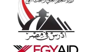 التعليم العالي: 125 ألف طالب وافد من 119 دولة يدرسون في مصر