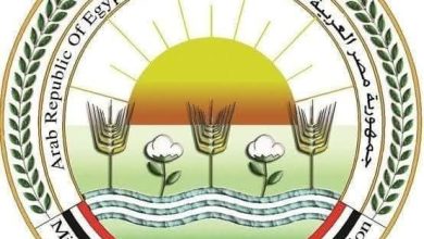 “الزراعة” تطلق 214 قافلة بيطرية مجانية في 176 قرية خلال يونيو الماضي