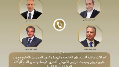 بتوجيهات رئاسية.. وزير الخارجية يكثف الاتصالات لخفض التصعيد وحدة التوتر في المنطقة