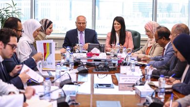 كامل الوزير ورانيا المشاط يضعان خارطة طريق للتعامل مع آلية تعديل حدود الكربون CBAM