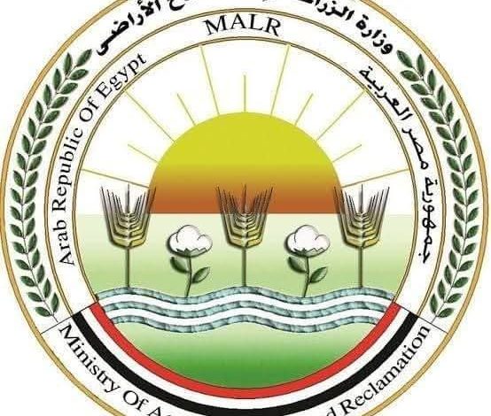 “الزراعة”: تحصين أكثر من 1.8 مليون رأس ماشية ضمن الحملة القومية ضد الحمى القلاعية والوادي المتصدع 