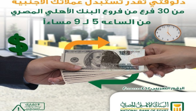 في هذا الموعد.. البنك الأهلي المصري يتيح تحويل العملات الأجنبية عبر 30 فرعا على مستوى الجمهورية 