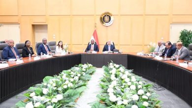 مصر والكونغو الديمقراطية تبحثان تعزيز التعاون في مشروعات النقل والصناعة والبنية التحتية