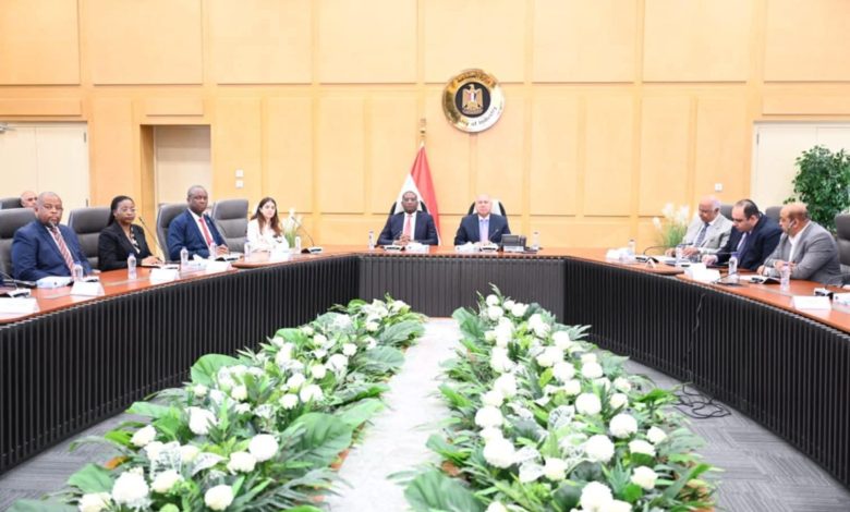 مصر والكونغو الديمقراطية تبحثان تعزيز التعاون في مشروعات النقل والصناعة والبنية التحتية مصر والكونغو الديمقراطية تبحثان تعزيز التعاون في مشروعات النقل والصناعة والبنية التحتية