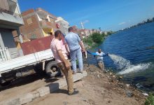 إطلاق أكثر من 14 مليون وحدة زريعة لتعزيز الثروة السمكية في نهر النيل والبحيرات المصرية