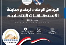 مجلس الشباب المصري يطلق تدريبًا موسعًا في الجيزة لرصد العملية الانتخابية