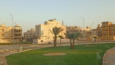 جهاز 6 أكتوبر يواصل تطوير القطاع الشمالي: رفع كفاءة المناطق الخدمية وتحويل المخلفات إلى مسطحات خضراء