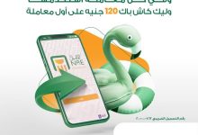 اشحن محفظتك.. واحصل على 120 جنيه كاش باك من البنك الأهلي المصري عند أول معاملة!
