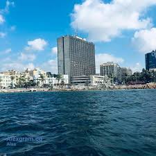 قصر القطن.. معلومات هامة عن أهم مبني فندقي تاريخي بالإسكندرية قصر القطن.. معلومات هامة عن أهم مبني فندقي تاريخي بالإسكندرية