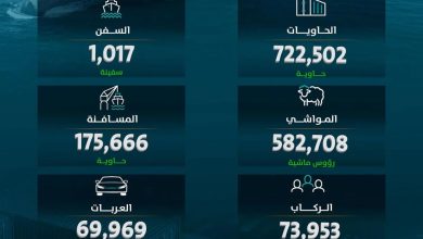 موانئ السعودية تحقق نموًا بنسبة 12% خلال يوليو 2025