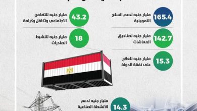 وزير المالية: 642 مليار جنيه للدعم والحماية الاجتماعية خلال عام