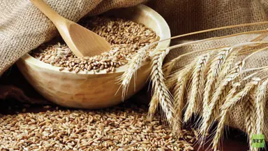 أسعار الأعلاف اليوم الأربعاء 6 أغسطس 2025