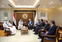 وزير التعليم العالي يبحث سبل تعزيز التعاون مع دولة الإمارات