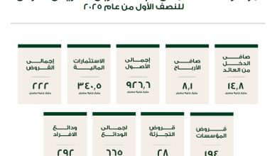 926.6 مليار جنيه إجمالي أصول البنك العربي الأفريقي بنهاية النصف الأول من 2025