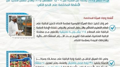 506 إذن تصدير لحاصلات زراعية.. والبطاطا والفراولة على رأس قائمة الخضراوات والفواكه المصدرة
