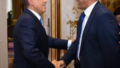 وزير الخارجية يستقبل نقيب الصحفيين لتعزيز التعاون المشترك