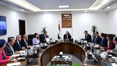 رئيس الوزراء يستعرض آليات تنفيذ مشروعات كهرباء المدن الجديدة بالشراكة مع القطاع الخاص