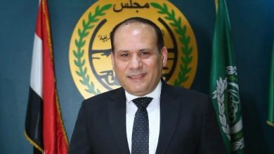 أيمن عامر: مصر ستظل الحصن العربي الداعم لفلسطين.. ويحذر من الدعوات المشبوهة ضدها