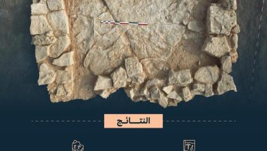 اكتشاف أثري في القرينة بالرياض يعود إلى 50 ألف سنة يكشف عن تاريخ حضاري عريق للمملكة