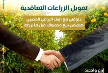 «زود دخلك .. وخليك في المضمون».. مبادرة جديدة من البنك الزراعي لزيادة أرباح المزارعين