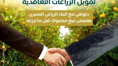 «زود دخلك .. وخليك في المضمون».. مبادرة جديدة من البنك الزراعي لزيادة أرباح المزارعين