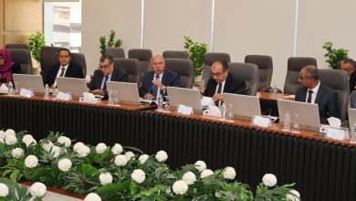 المجلس الأعلى للطاقة يوافق على توفير ورفع القدرة لـ 14 مشروعًا صناعيًا جديدًا