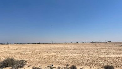 إطلاق مشروع ذكي على مساحة 350 فدانًا في برج العرب الجديدة بنظام المطور الصناعي