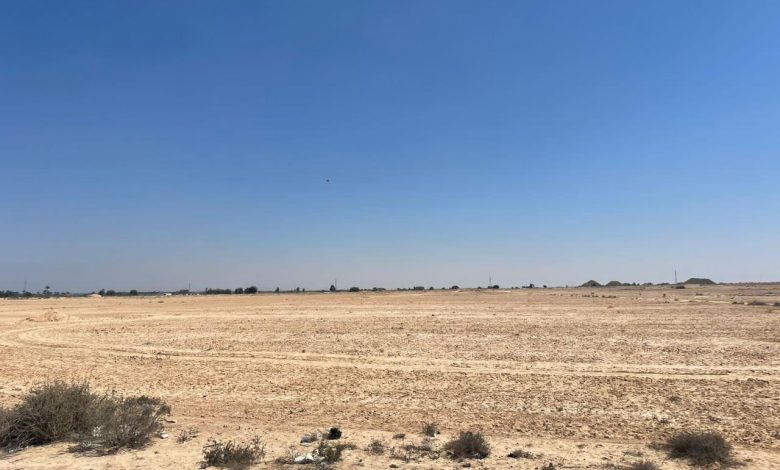 إطلاق مشروع ذكي على مساحة 350 فدانًا في برج العرب الجديدة بنظام المطور الصناعي إطلاق مشروع ذكي على مساحة 350 فدانًا في برج العرب الجديدة بنظام المطور الصناعي
